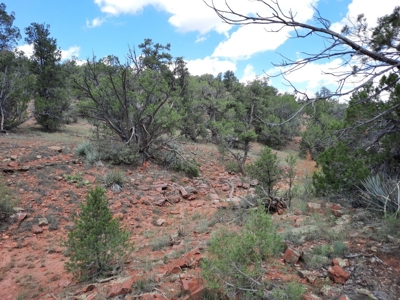 Secluded Parcel - image 4