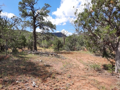 Secluded Parcel - image 8