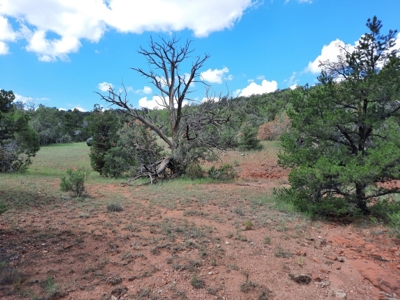 Secluded Parcel - image 1