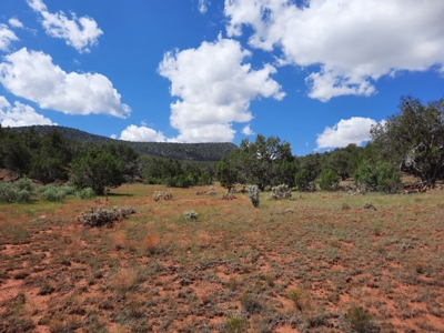 Secluded Parcel - image 3