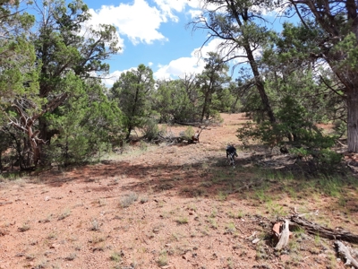 Secluded Parcel - image 6