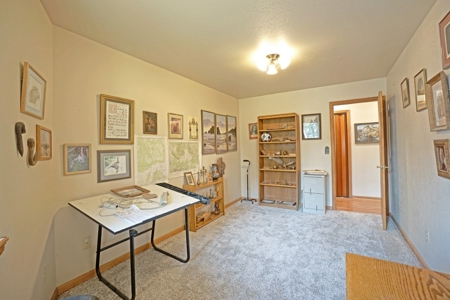 Affordable Family Home Near Ridgway, Telluride, and Ouray - image 21