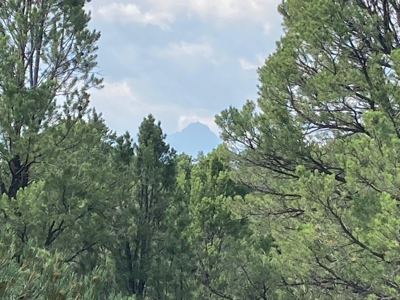 Affordable Family Home Near Ridgway, Telluride, and Ouray - image 7