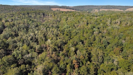 Major Live Water on 180 Acres Near Caney Mountain Refuge - image 23
