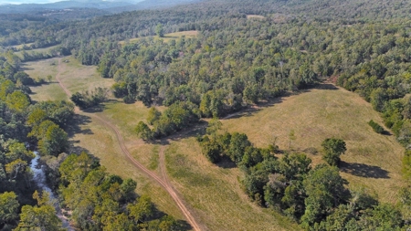 Major Live Water on 180 Acres Near Caney Mountain Refuge - image 19