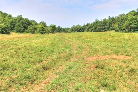 Major Live Water on 180 Acres Near Caney Mountain Refuge - image 8
