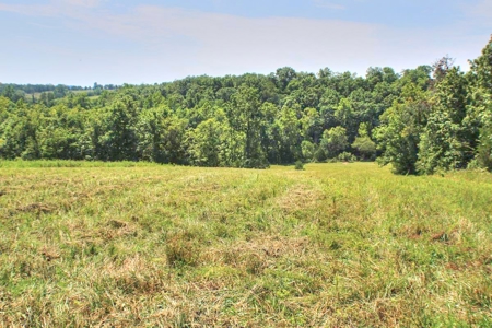 Major Live Water on 180 Acres Near Caney Mountain Refuge - image 17