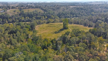 Major Live Water on 180 Acres Near Caney Mountain Refuge - image 26