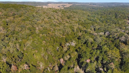 Major Live Water on 180 Acres Near Caney Mountain Refuge - image 28