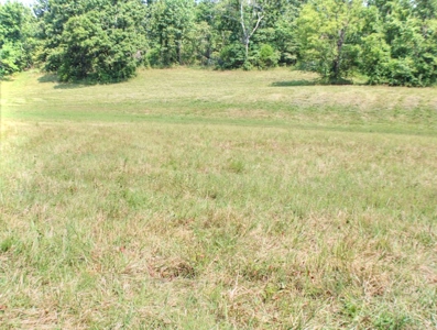 Major Live Water on 180 Acres Near Caney Mountain Refuge - image 3