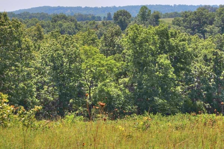 Major Live Water on 180 Acres Near Caney Mountain Refuge - image 12