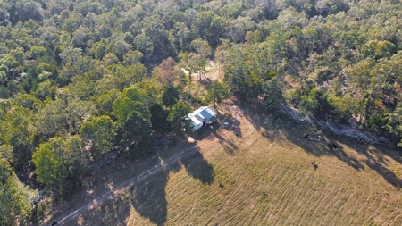 Major Live Water on 180 Acres Near Caney Mountain Refuge - image 27