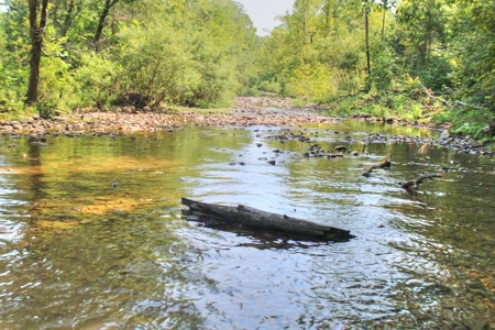 Major Live Water on 180 Acres Near Caney Mountain Refuge - image 2
