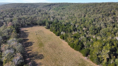 Major Live Water on 180 Acres Near Caney Mountain Refuge - image 29