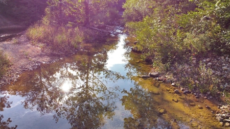 Major Live Water on 180 Acres Near Caney Mountain Refuge - image 35