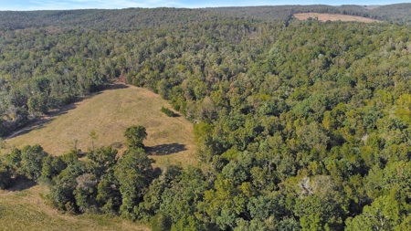 Major Live Water on 180 Acres Near Caney Mountain Refuge - image 20
