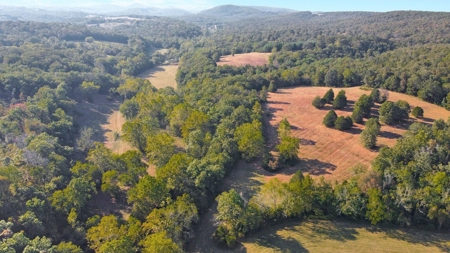 Major Live Water on 180 Acres Near Caney Mountain Refuge - image 34
