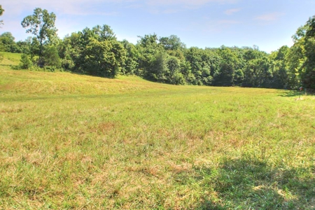 Major Live Water on 180 Acres Near Caney Mountain Refuge - image 4
