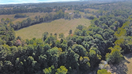 Major Live Water on 180 Acres Near Caney Mountain Refuge - image 22