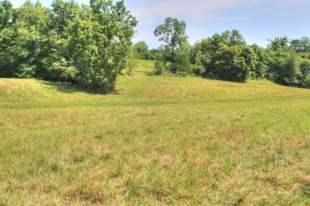 Major Live Water on 180 Acres Near Caney Mountain Refuge - image 5