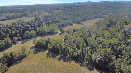 Major Live Water on 180 Acres Near Caney Mountain Refuge - image 24