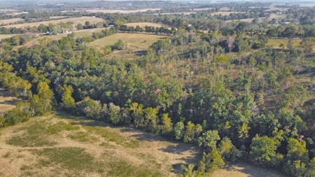 Major Live Water on 180 Acres Near Caney Mountain Refuge - image 33