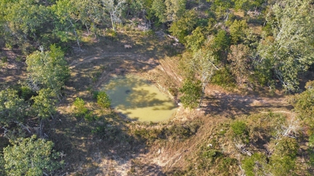 Major Live Water on 180 Acres Near Caney Mountain Refuge - image 31