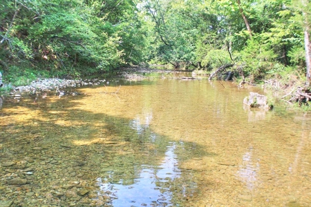 Major Live Water on 180 Acres Near Caney Mountain Refuge - image 1