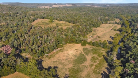 Major Live Water on 180 Acres Near Caney Mountain Refuge - image 32