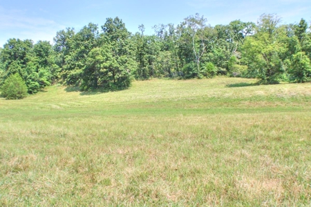 Major Live Water on 180 Acres Near Caney Mountain Refuge - image 7