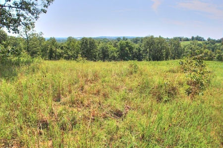 Major Live Water on 180 Acres Near Caney Mountain Refuge - image 11
