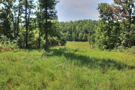 Major Live Water on 180 Acres Near Caney Mountain Refuge - image 9