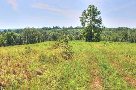 Major Live Water on 180 Acres Near Caney Mountain Refuge - image 14