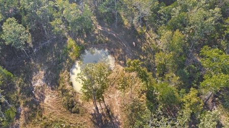 Major Live Water on 180 Acres Near Caney Mountain Refuge - image 30