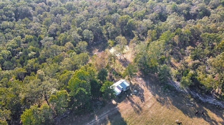 Major Live Water on 180 Acres Near Caney Mountain Refuge - image 18