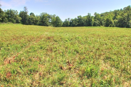 Major Live Water on 180 Acres Near Caney Mountain Refuge - image 10