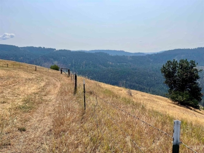 20 Acres with AMAZING views and ready for your animals - image 8