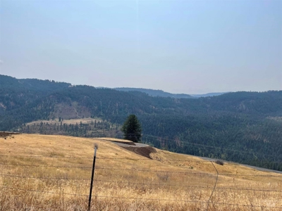 20 Acres with AMAZING views and ready for your animals - image 2