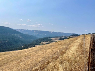 20 Acres with AMAZING views and ready for your animals - image 7
