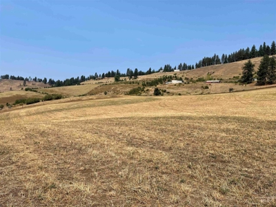 20 Acres with AMAZING views and ready for your animals - image 3