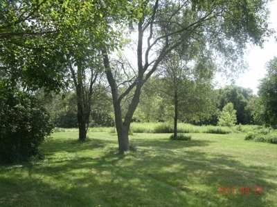 Century Old Country Home on 2.5 Ac. M/L - image 8