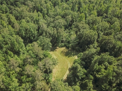 Land for Sale on the Big Black River Claiborne County MS - image 28