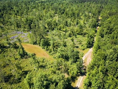 Land for Sale on the Big Black River Claiborne County MS - image 50