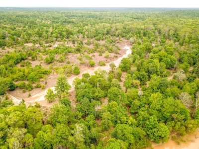 Land for Sale on the Big Black River Claiborne County MS - image 17