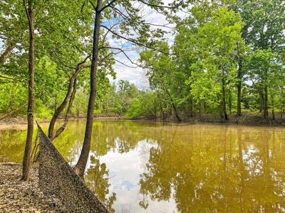 Land for Sale on the Big Black River Claiborne County MS - image 39