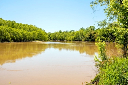 Land for Sale on the Big Black River Claiborne County MS - image 4
