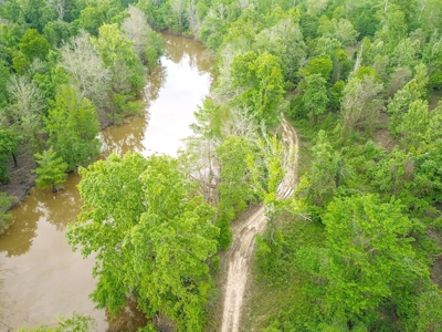 Land for Sale on the Big Black River Claiborne County MS - image 18