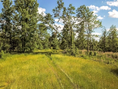 Land for Sale on the Big Black River Claiborne County MS - image 29