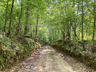 Land for Sale on the Big Black River Claiborne County MS - image 44