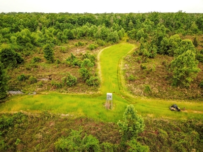 Land for Sale on the Big Black River Claiborne County MS - image 20
